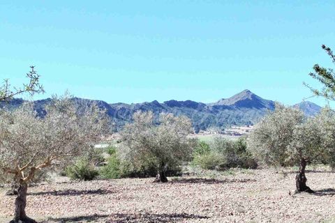 Landejendom i Caudete, Albacete, Caudete - € 149.950 | Ref: SF0574 - foto 19